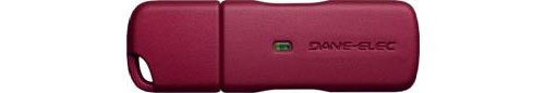Dane-Elec zLight USB Stick