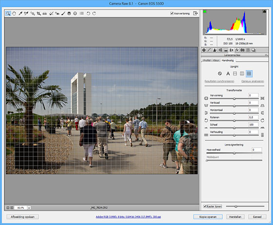Adobe-Camera-RAW-8.1-Alignment