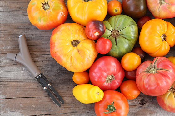 Flower Power Tomaten