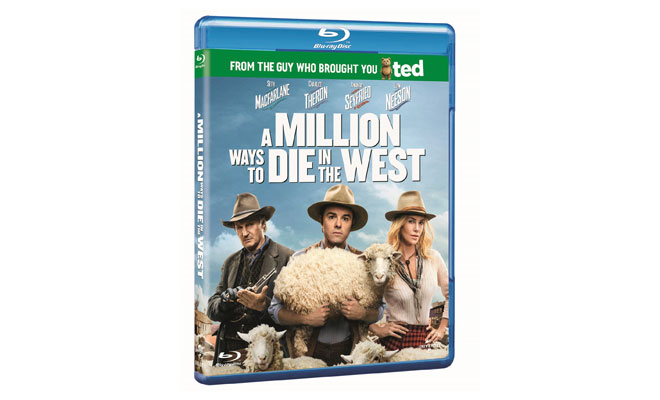 A Million Ways to Die in the West YIFY subtitles - details