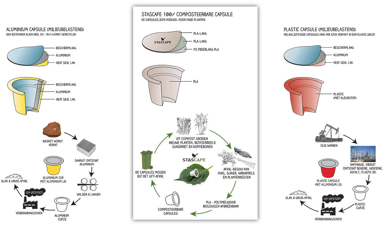 Stascafe-Infographic