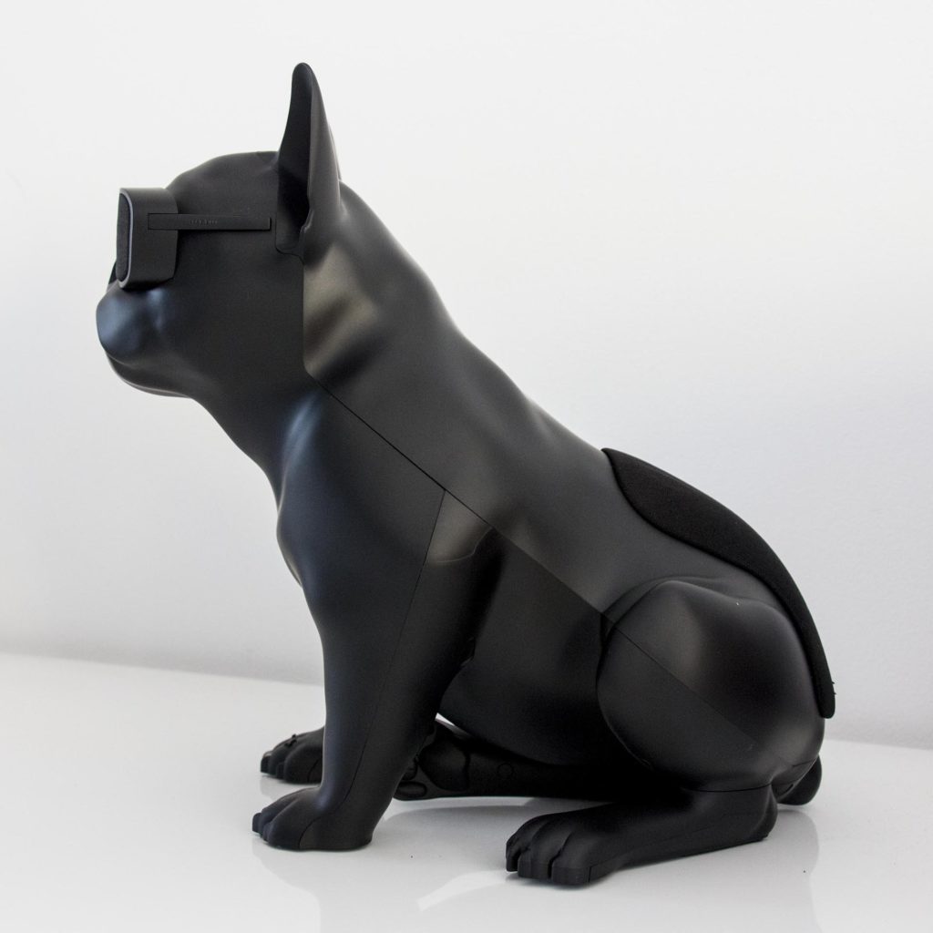AeroBull XS1