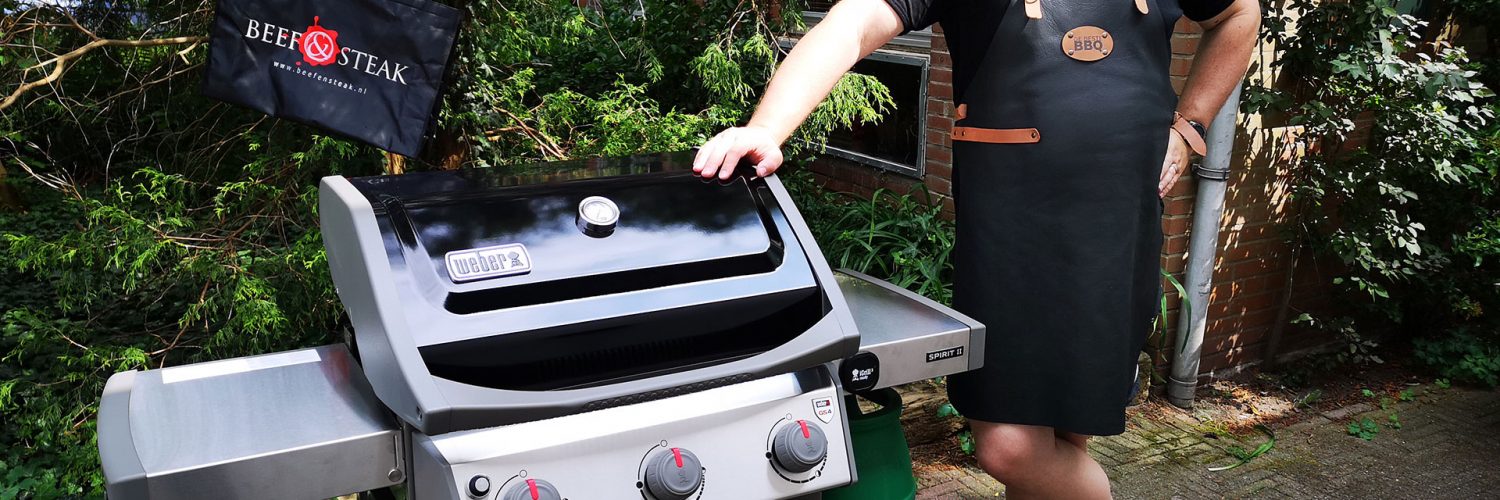 Grille Weber Spirit Grille De Cuisson En Fonte 7638 Pour Weber Spirit E-310 E-320 S Grill Grates