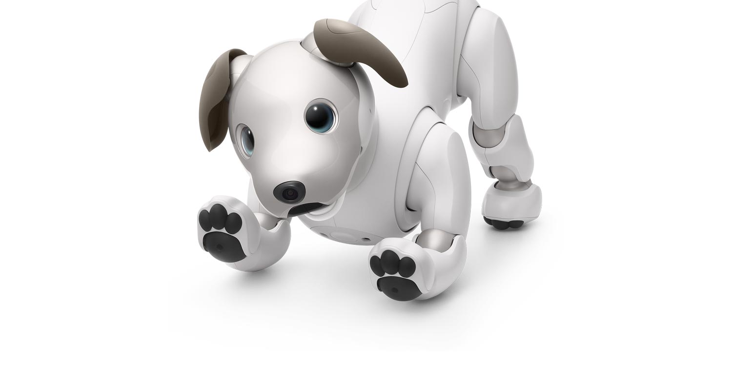 Sony Aibo Robothond