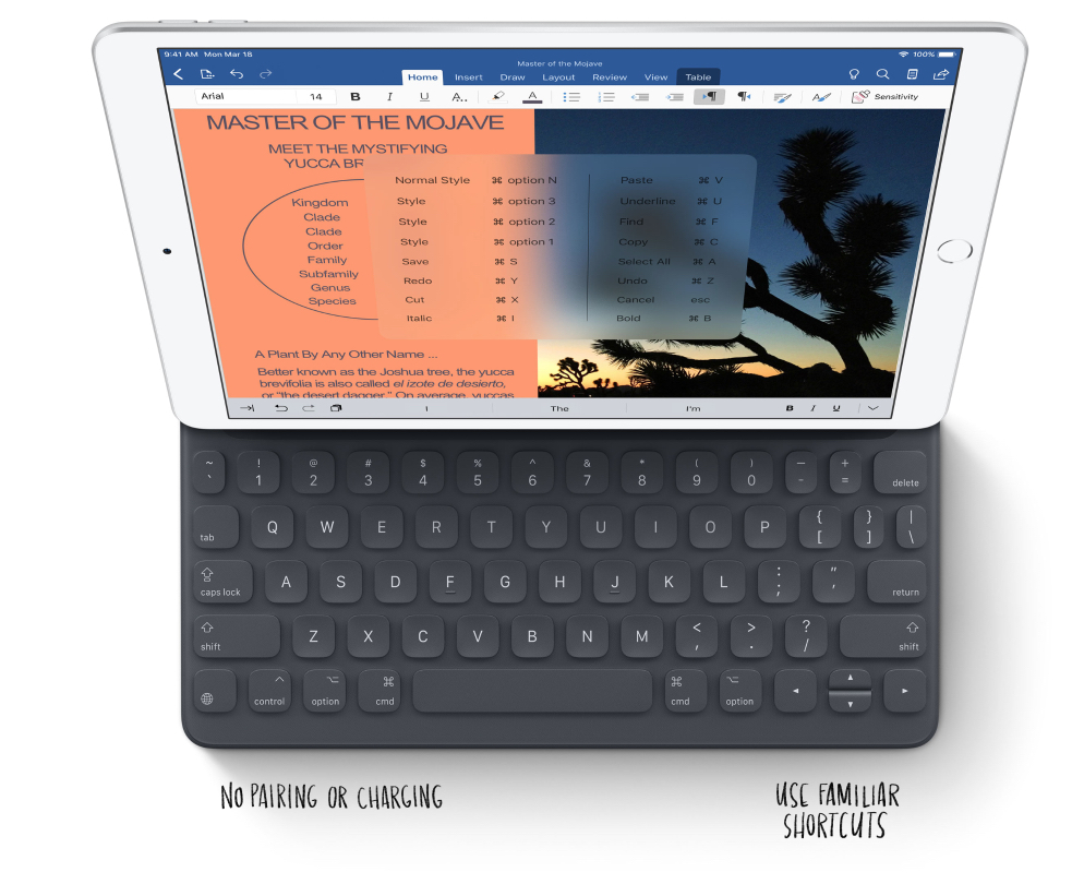 iPad Air 2019