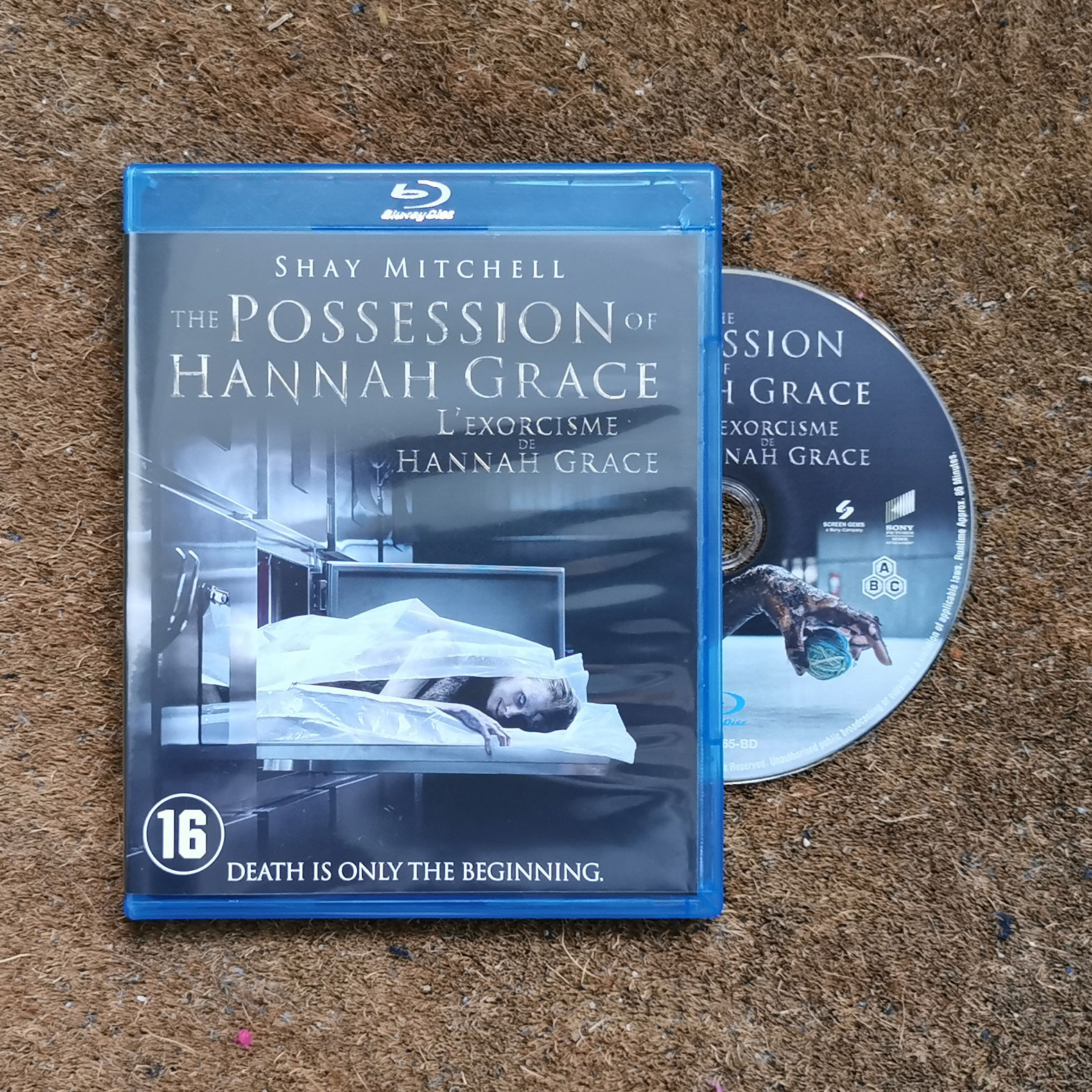 The Possession of Hannah Grace