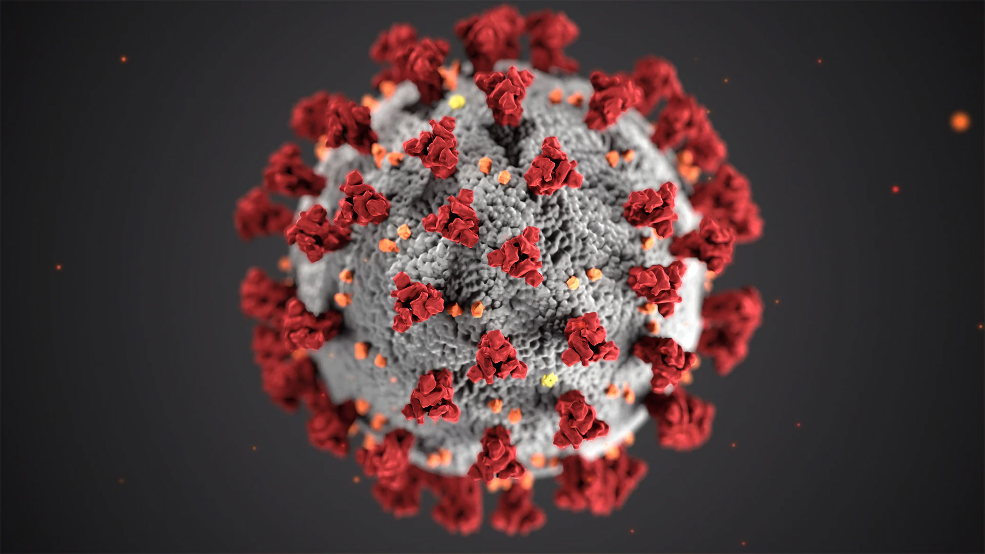 Corona virus COVID-19