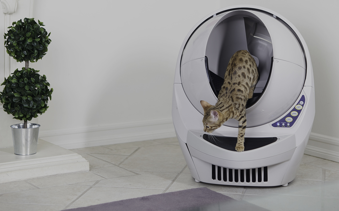 lanthaan voorbeeld recorder Review: Litter-robot; de slimme zelfreinigende kattenbak - GadgetGear.nl lanthaan voorbeeld recorder Review: Litter-robot; de slimme zelfreinigende kattenbak - GadgetGear.nl
