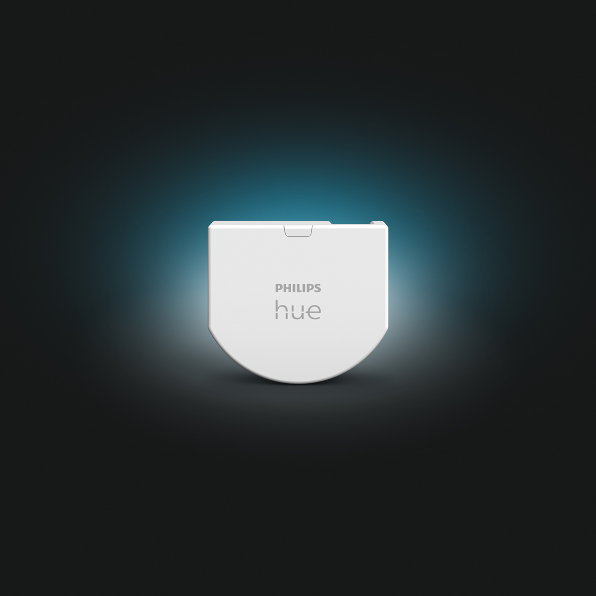 Philips Hue wall switch module