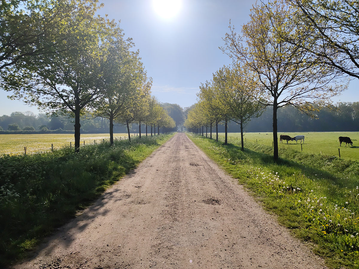 108 megapixel foto met tegenlicht