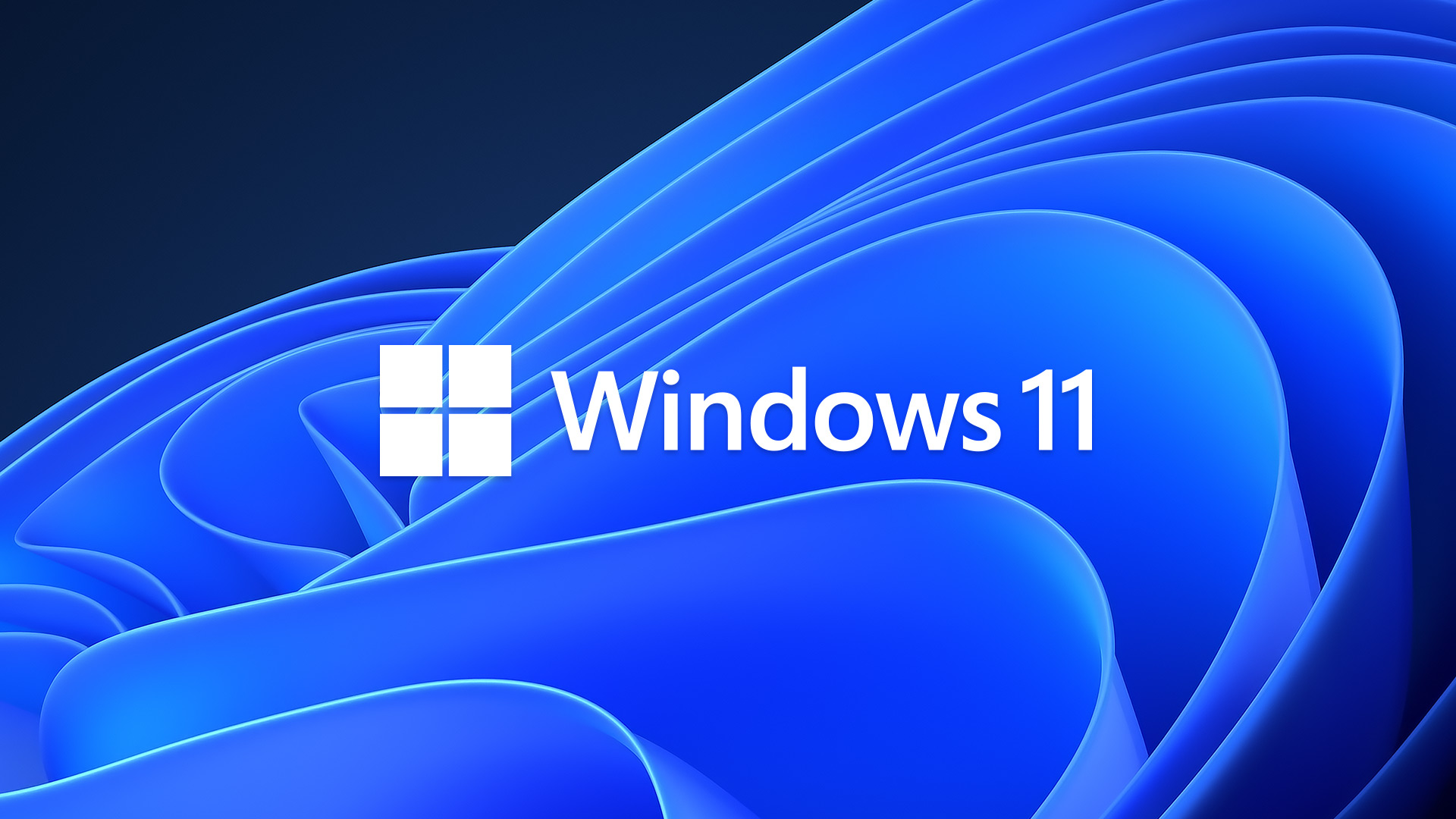Microsoft Windows 11
