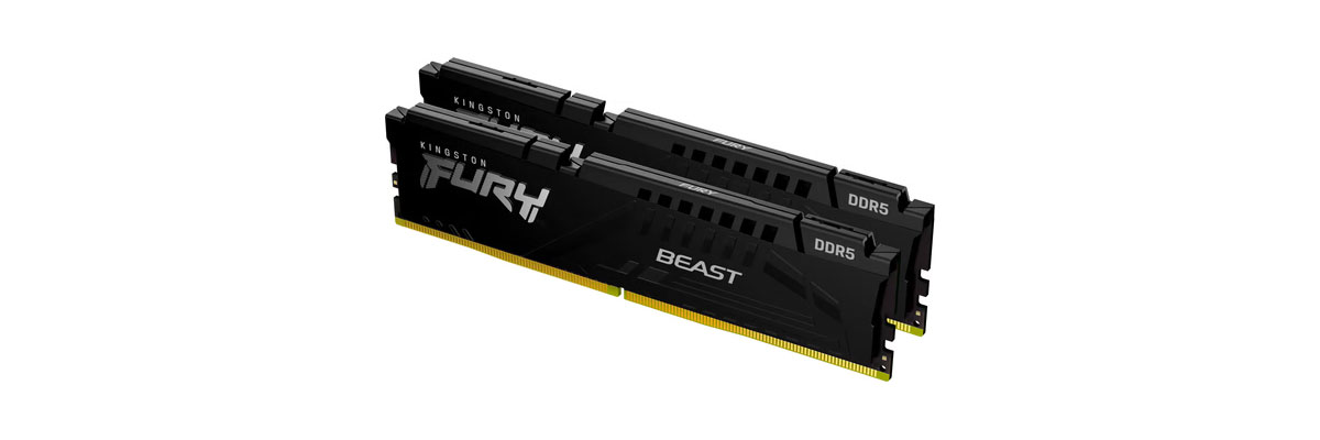 Kingston Fury Beast DDR5