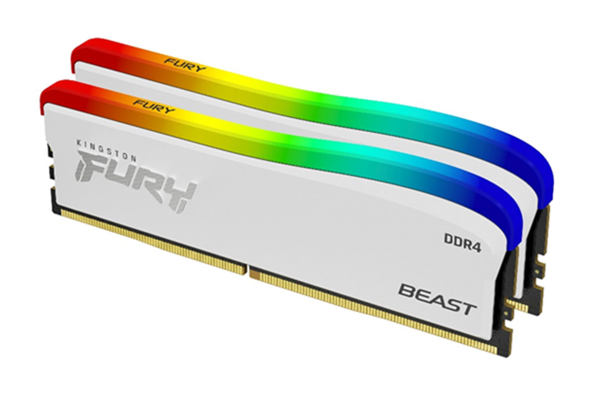 Kingston Fury Beast Special Edition