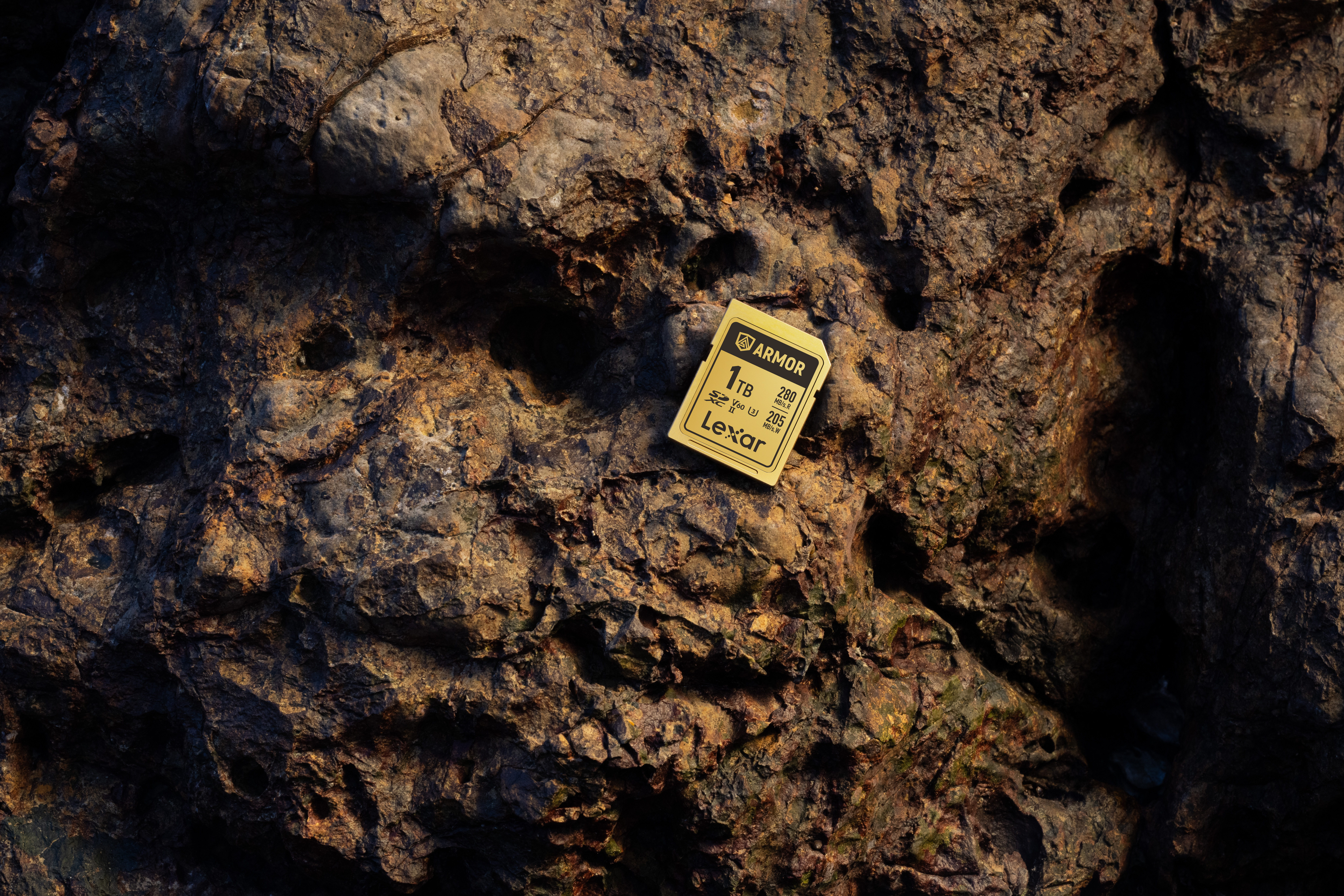 lexar gold armor pro sdxc lifestyle