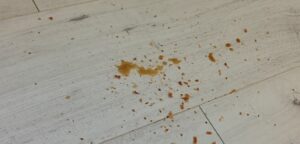 img 20251121 142241724 hdr