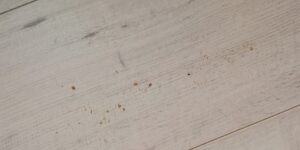 img 20251123 153031522