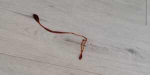 img 20251124 115112944 hdr