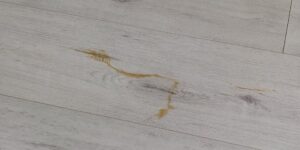 img 20251124 132503823 hdr