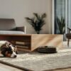 roomba max 705 vac autoempty black photo insitu livingroom 3000x3000