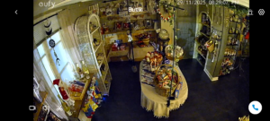 screenshot 20251129 202909 eufy