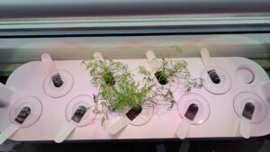 img 20251117 124259558 hdr