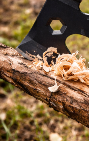 f13df85b 0db7 4526 96a3 47c57d3e671a