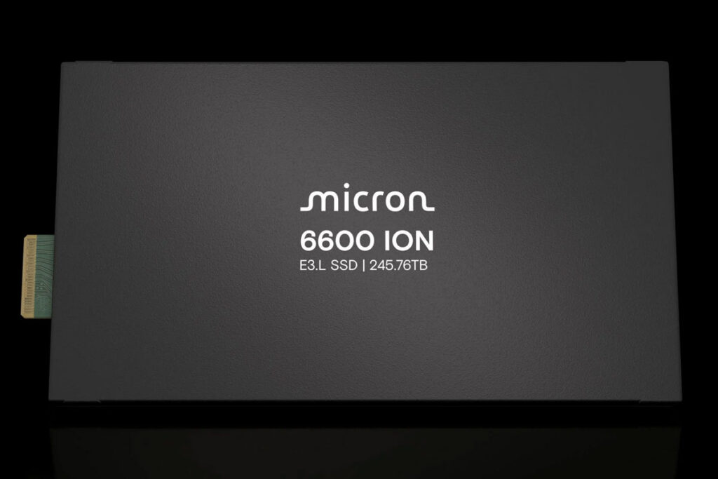 Micron 6600 ION