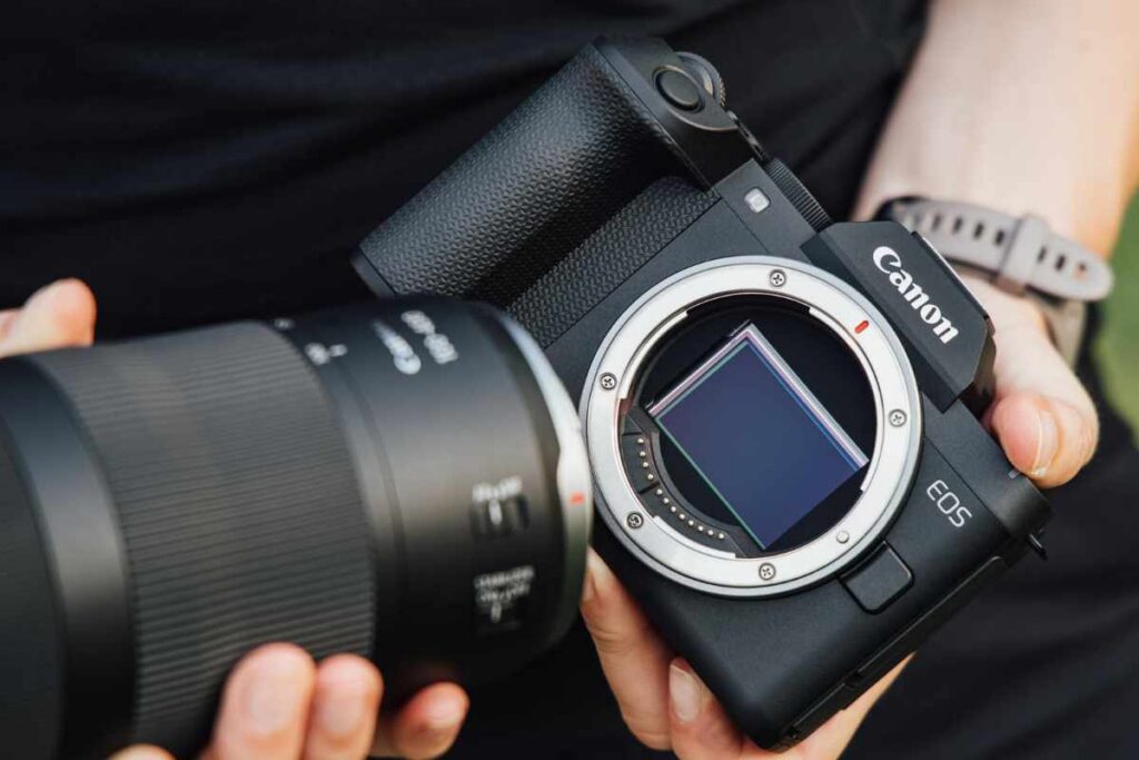 CANON EOS R8 MARK II