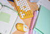 Packerd Bell Accessoires